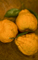 Still Life 1