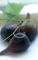 Still Life 4