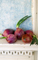 Still Life 6