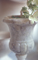 Still Life 9